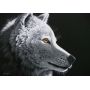 Puzzle 1000p Wolf Light Grafika Ikaipaka jeux & jouets Royan