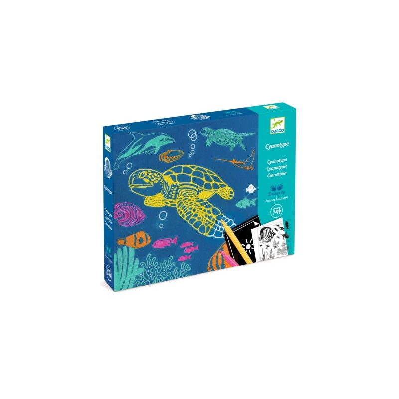 Cyanotype Outremer Djeco Ikaipaka jeux & jouets Royan