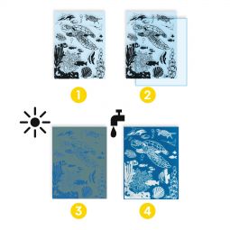 Cyanotype Outremer Djeco Ikaipaka jeux & jouets Royan
