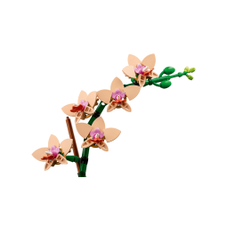 Orchidée Miniateur Botanic Légo lego Ikaipaka jeux & jouets
