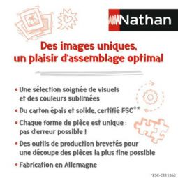 Puzzle 1000p Le Mont St Michel Nathan Ikaipaka jeux & jouets