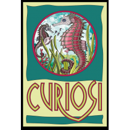 Puzzle 33p Mini Hippocampe Curiosi Curiosi Ikaipaka jeux &