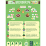 Bidiburdy KIWIZOU Ikaipaka jeux & jouets Royan