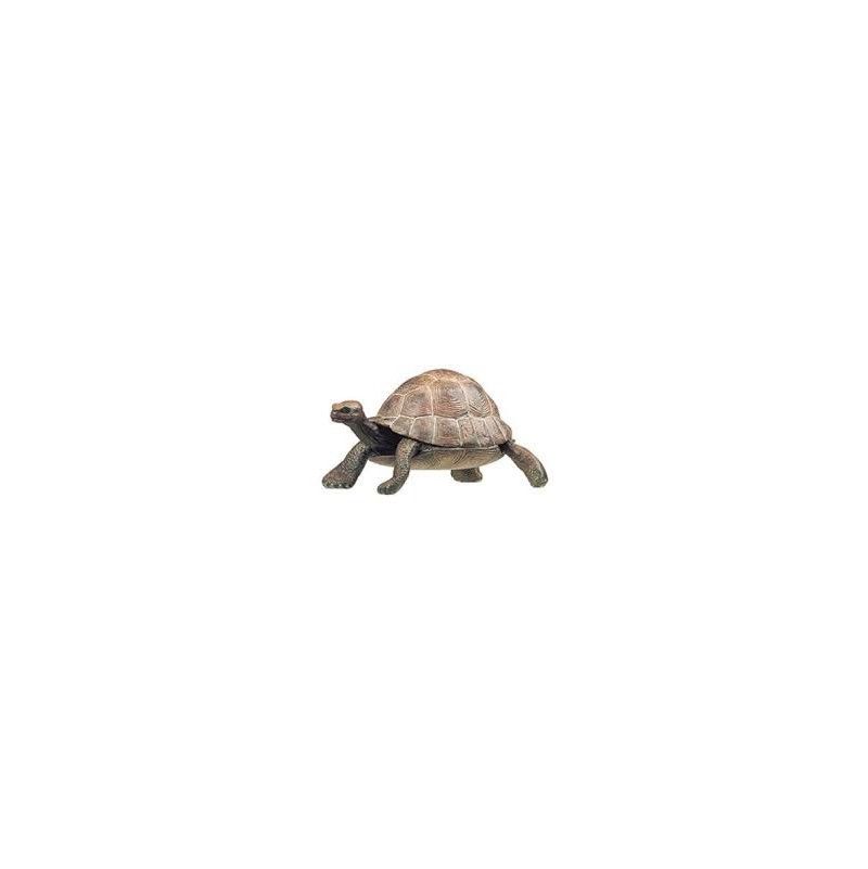 Tortue Papo Papo Ikaipaka jeux & jouets Royan