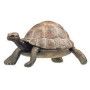 Tortue Papo Papo Ikaipaka jeux & jouets Royan