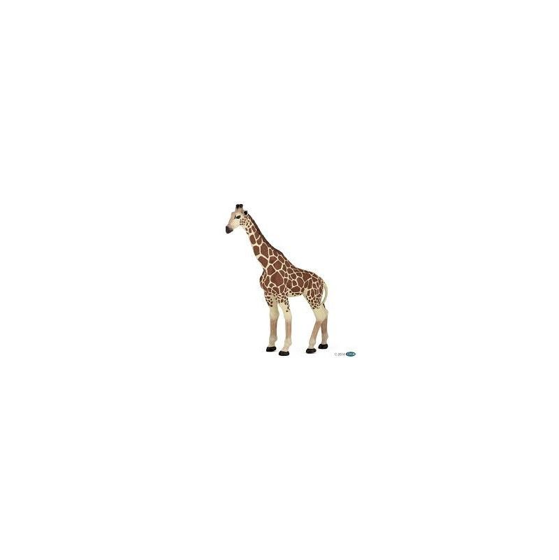 Girafe Papo - IkaIpaka Royan