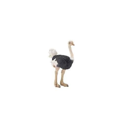 Autruche Papo Papo Ikaipaka jeux & jouets Royan