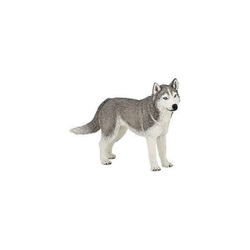 Husky de sibérie Papo Papo Ikaipaka jeux & jouets Royan