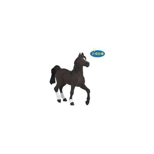 Cheval arabe Papo Papo Ikaipaka jeux & jouets Royan