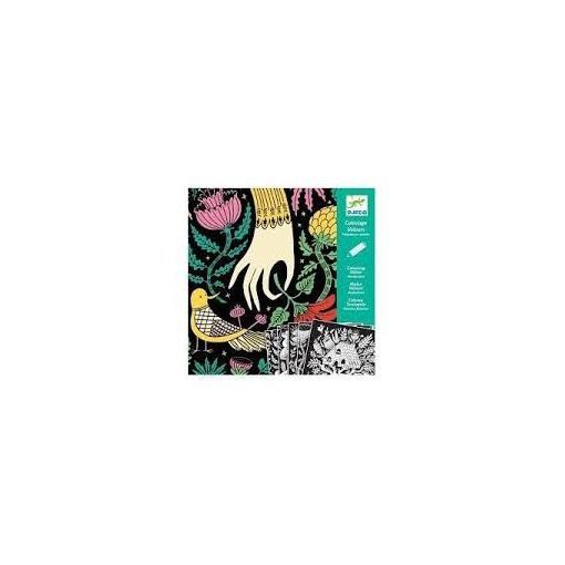 Coloriage surprise fabuleuse contrée Djeco Ikaipaka jeux &