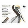 Pepin bloc de 20 carte postale oiseaux - IkaIpaka Royan