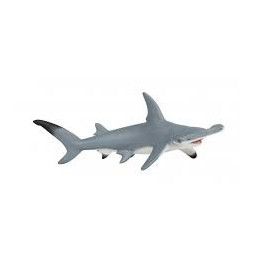 Requin marteau - IkaIpaka Royan