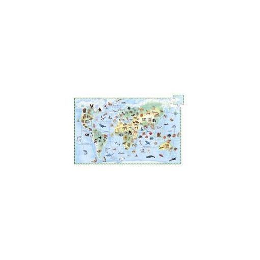 Puzzle Observation 100p Animaux du monde Djeco Ikaipaka jeux &