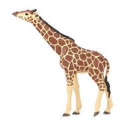 Girafe tête levée papo Papo Ikaipaka jeux & jouets Royan