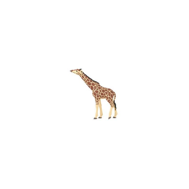 Girafe tête levée papo - IkaIpaka Royan