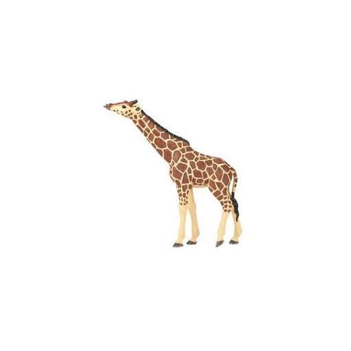 Girafe tête levée papo Papo Ikaipaka jeux & jouets Royan
