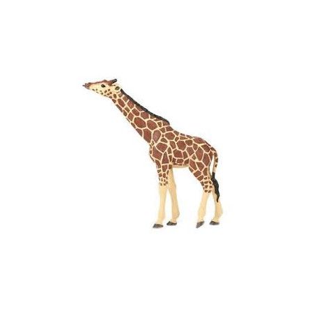 Girafe tête levée papo Papo Ikaipaka jeux & jouets Royan