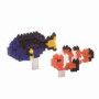 Nanoblock Clownfish & Palette Surgeonfish - IkaIpaka Royan