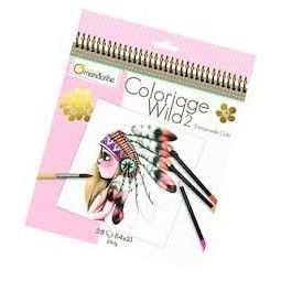 Carnet de coloriage Wild 2 Avenue Mandarine Ikaipaka jeux &