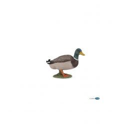Canard Colvert Papo Ikaipaka jeux & jouets Royan