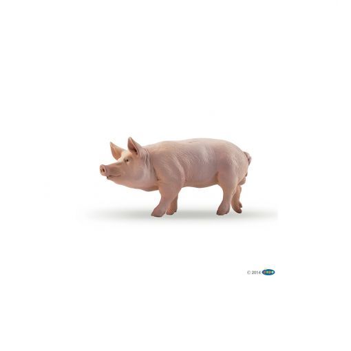 Cochon Verrat Papo Ikaipaka jeux & jouets Royan