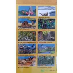 10 Magicartes Zoo Editions Bonne Anse Ikaipaka jeux & jouets