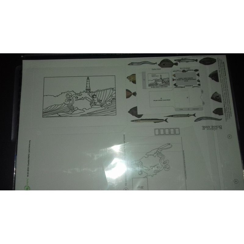 Magicarte Phare Editions Bonne Anse Ikaipaka jeux & jouets Royan