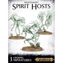 NIGHTHAUNT SPIRIT HOSTS Warhammer Ikaipaka jeux & jouets Royan