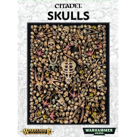 CITADEL SKULLS Warhammer Ikaipaka jeux & jouets Royan