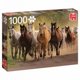 Puzzle - 1000 - Un groupe de chevaux Diset Ikaipaka jeux &