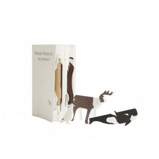 Livre "polar animals" Iksk Ikaipaka jeux & jouets Royan