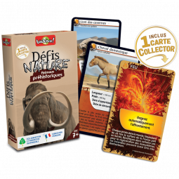 Défis Nature Animaux Préhistoriques Bioviva Ikaipaka jeux &