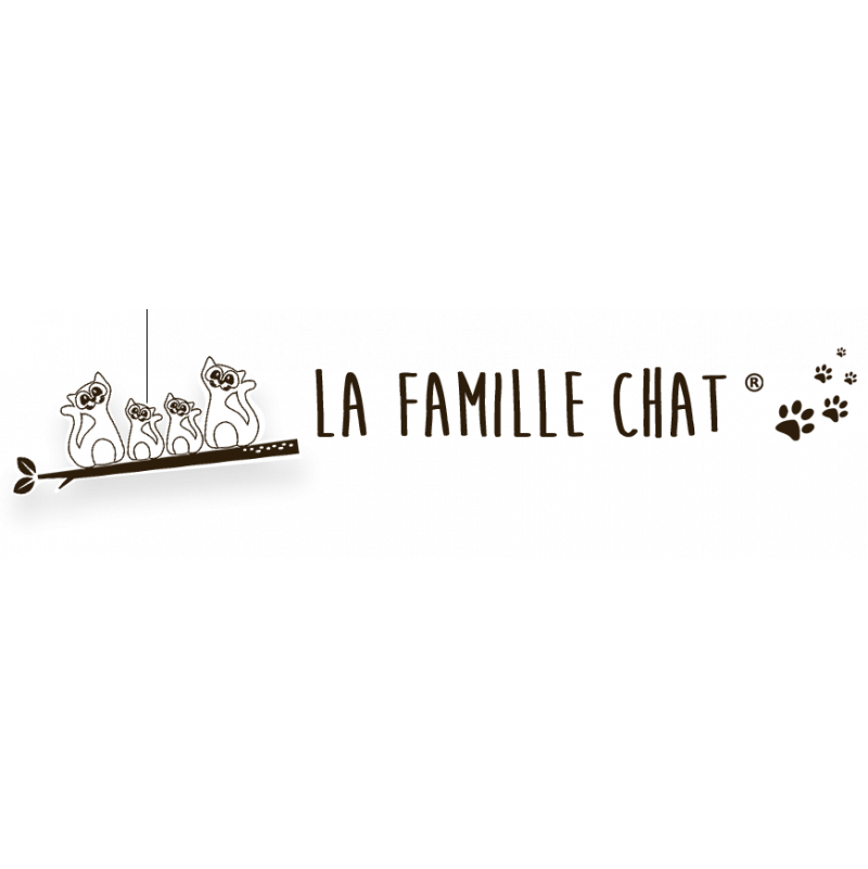 Famille Chat Solo  Ikaipaka jeux & jouets Royan