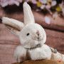 Coco Lapin crème Bukowski Bukowski Ikaipaka jeux & jouets Royan