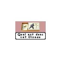 Quel est donc cet Oiseau marc vidal Ikaipaka jeux & jouets Royan