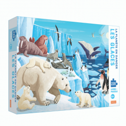 Puzzle + Livre Les glaces Sassi Ikaipaka jeux & jouets Royan