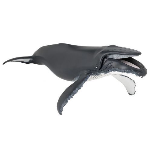 Baleine à bosse Papo Papo Ikaipaka jeux & jouets Royan