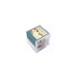 Cuzzle La vie Michel Ange Puzzle Michèle Wilson Ikaipaka jeux &