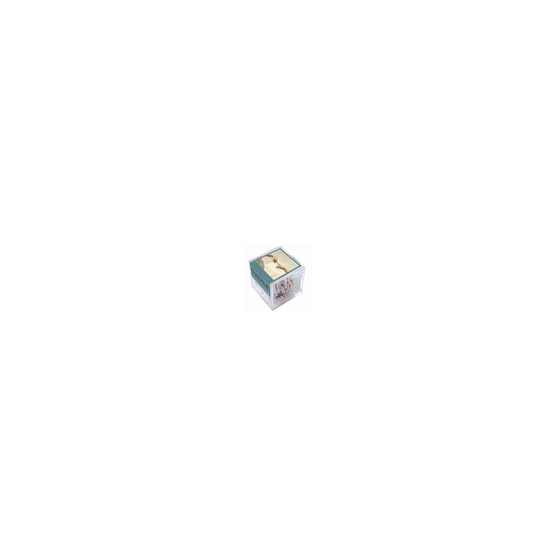 Cuzzle La vie Michel Ange Puzzle Michèle Wilson Ikaipaka jeux &