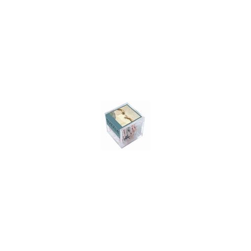 Cuzzle La vie Michel Ange Puzzle Michèle Wilson Ikaipaka jeux &