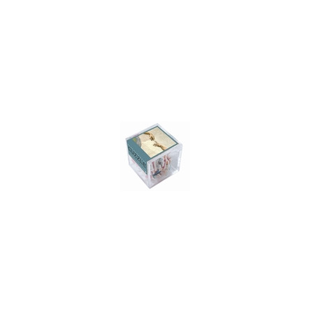 Cuzzle La vie Michel Ange Puzzle Michèle Wilson Ikaipaka jeux &