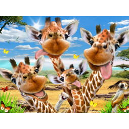 Puzzle 63p Selfie Girafes  Ikaipaka jeux & jouets Royan
