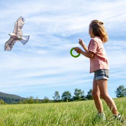 Terra Kids Cerf-volant Aigle Haba Ikaipaka jeux & jouets Royan