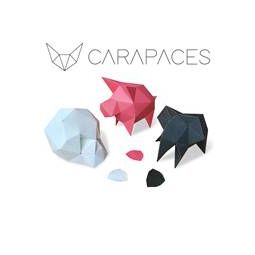 Carapaces Anthracite Doug Factory Ikaipaka jeux & jouets Royan