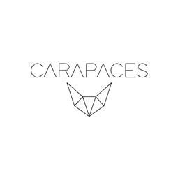 Carapaces Anthracite Doug Factory Ikaipaka jeux & jouets Royan